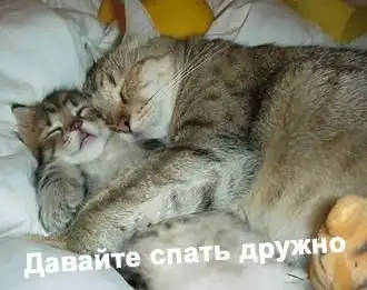 Картинки с надписями