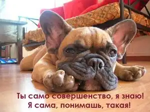 Картинки с надписями