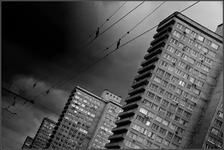Отпечаток