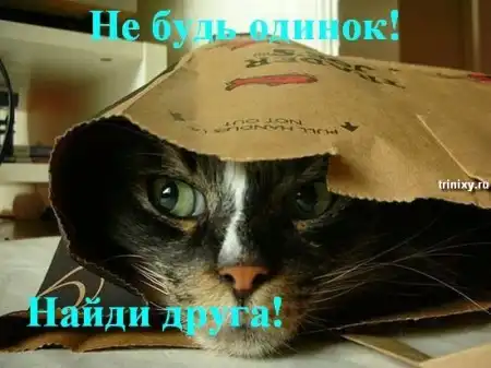 Всегда помните о друзьях