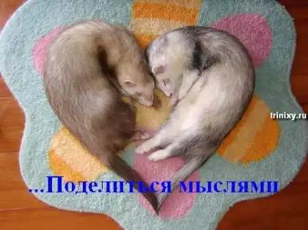Всегда помните о друзьях