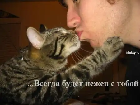 Всегда помните о друзьях