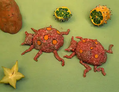 Мясо =)
