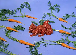 Мясо =)