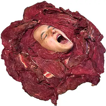 Мясо =)