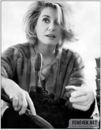 Catherine Deneuve