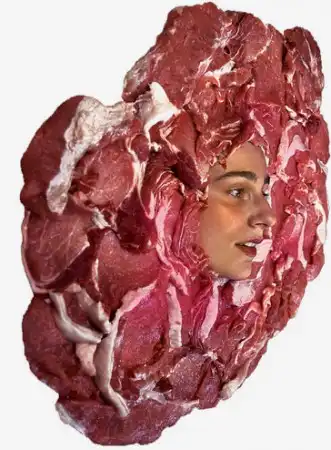 Мясо =)