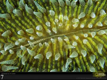 National Geographic