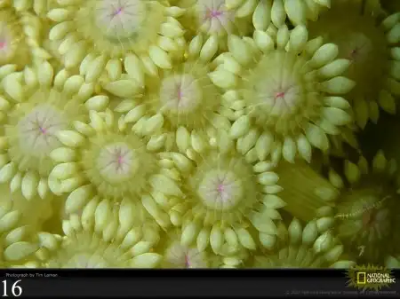 National Geographic