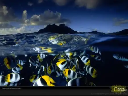 National Geographic