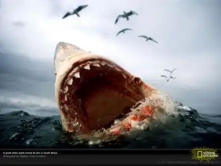 National Geographic