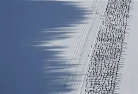 Лучшие фотографии 2007 года по версии агенства Рейтер