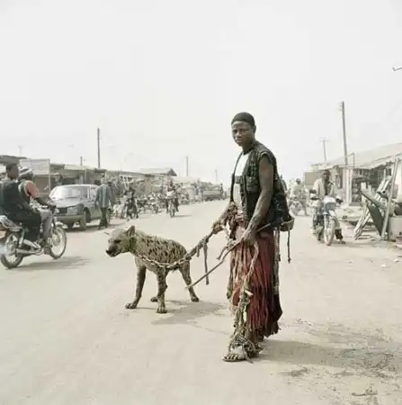 Нигерия. Люди и гиены