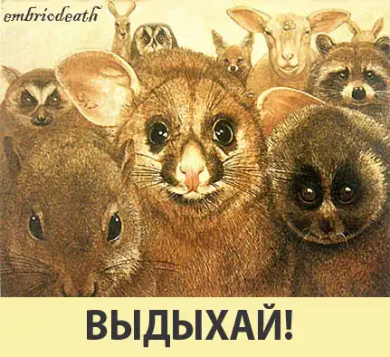 Милые животные 