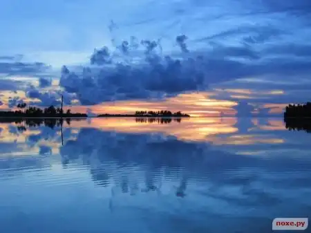 Удивительная природа