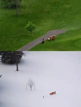 Фото приколы дня