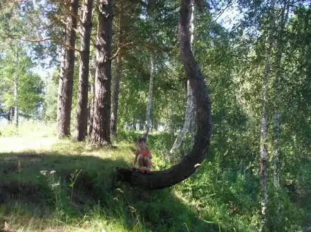 Воспоминания о лете))) фото