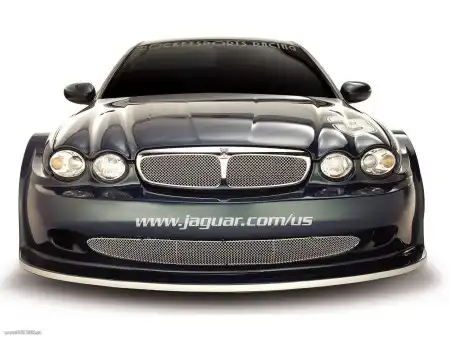 Автообои - Jaguar