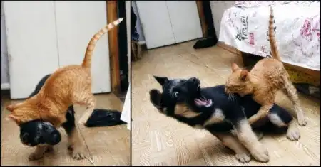 Прикольные фотки