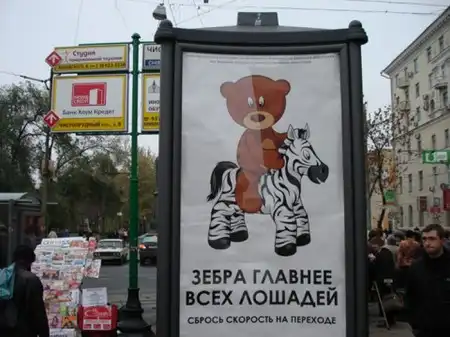 Прикольные фотки