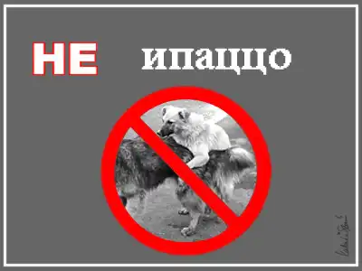 Фотожаба НЕ (21 работа) Фотожаба НЕ (21 работа)