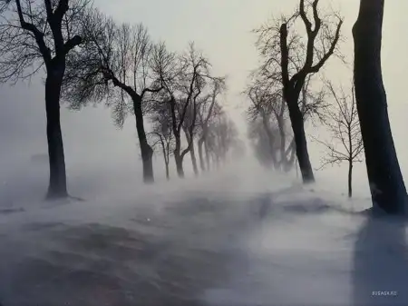 Зима пришла!