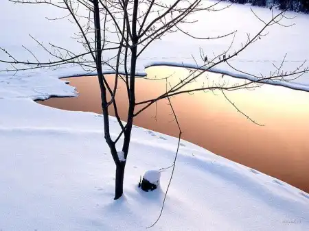 Зима пришла!