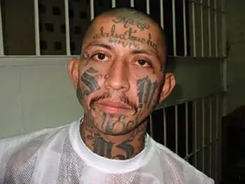 Mara Salvatrucha - самая жестокая южно-американская банда Mara Salvatrucha - самая жестокая южно-американская банда