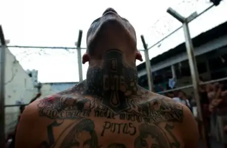 Mara Salvatrucha - самая жестокая южно-американская банда