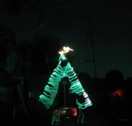 Электрическая новогодняя елка (12 фото)