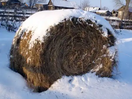 Настоящая Сибирь!