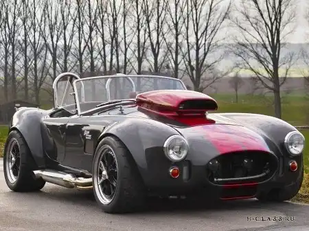 Weineck Cobra Limited Edition