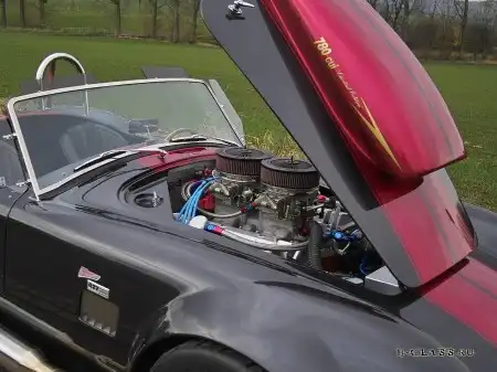Weineck Cobra Limited Edition