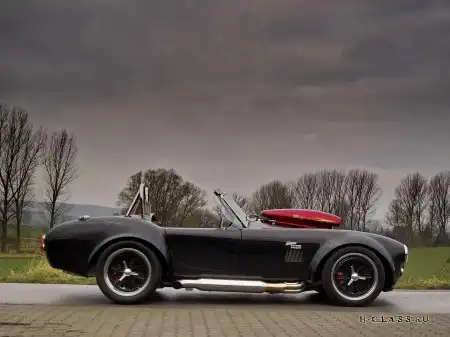 Weineck Cobra Limited Edition