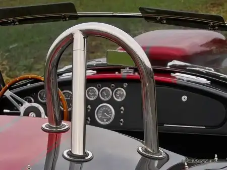 Weineck Cobra Limited Edition
