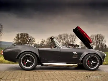Weineck Cobra Limited Edition