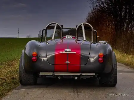 Weineck Cobra Limited Edition