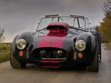 Weineck Cobra Limited Edition