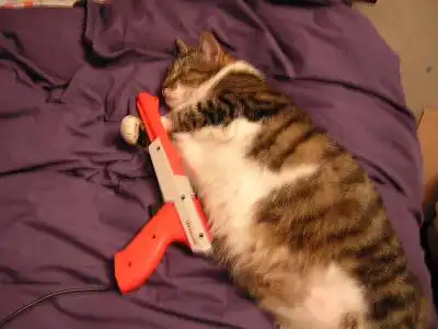 Большая живность)