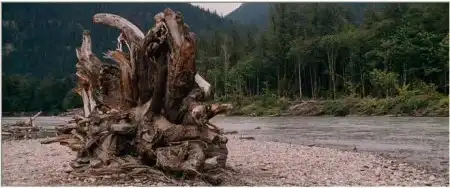 Поймай и отпусти / Catch and Release [2007, комедия, DVDRip]