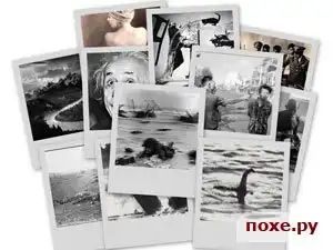 13 фотографий, изменивших мир