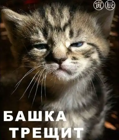 Подборочка =)