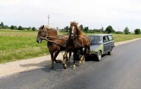 Весёлости на ВЫХОДНЫЕ )))