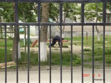 Только в России :)
