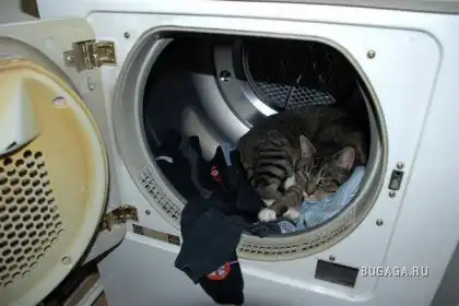 Спящие котейки Спящие котейки