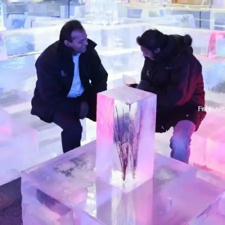 Ледяное кафе “Ice Lounge” в Дубаи