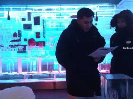 Ледяное кафе “Ice Lounge” в Дубаи