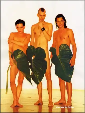 Синдром Placebo