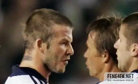 Beckham, ты злой, однако! ( 15 фото)