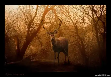Фотограф Jose A Gallego